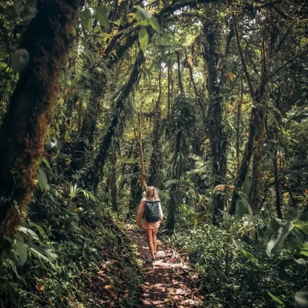 Monteverde Costa Rica